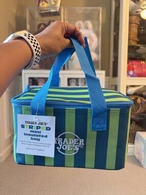 Trader Joe's Blue & Green Striped Mini Insulated Lunch Bag